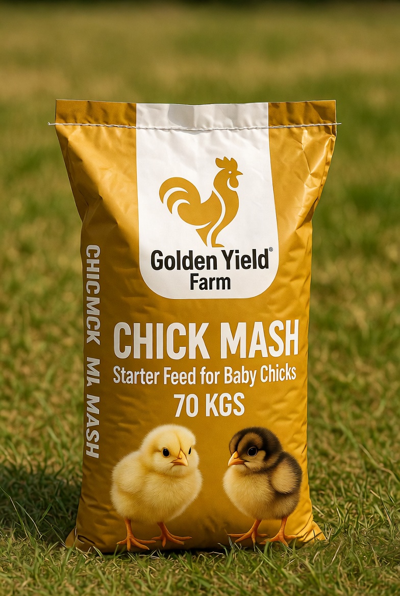 Chick Mash